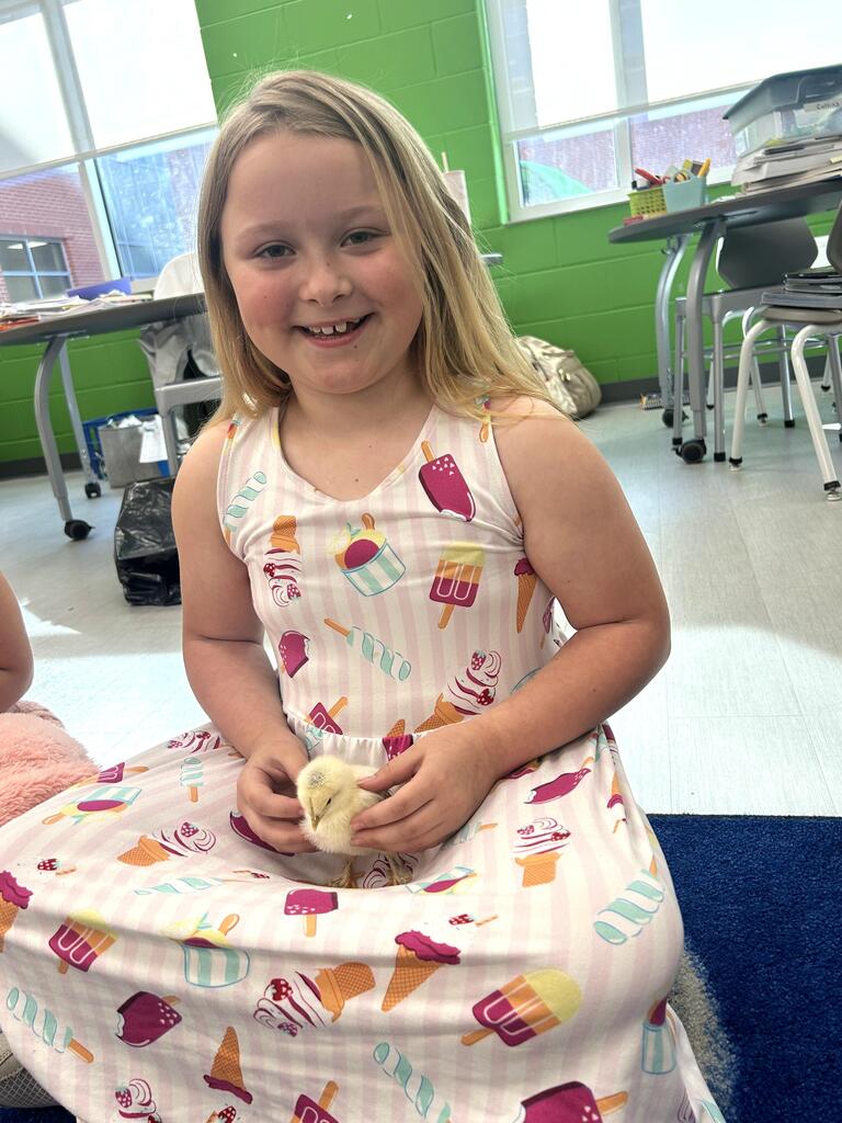 2nd grade chicks