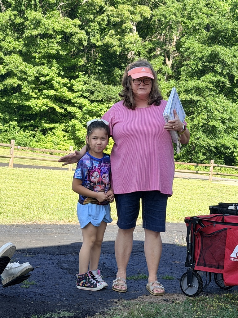 4k picnic