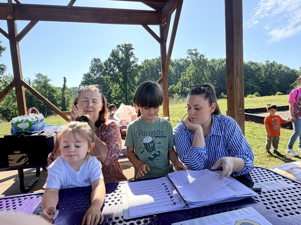 4k picnic