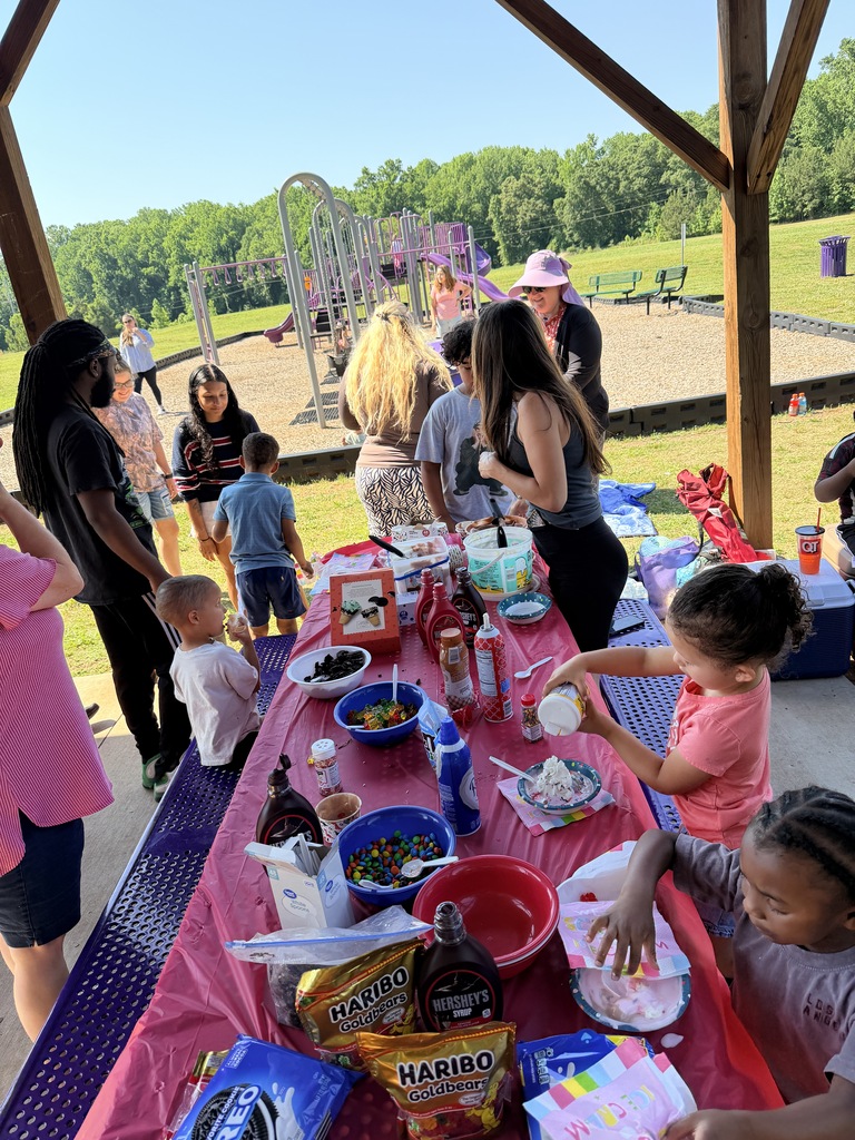 4k picnic