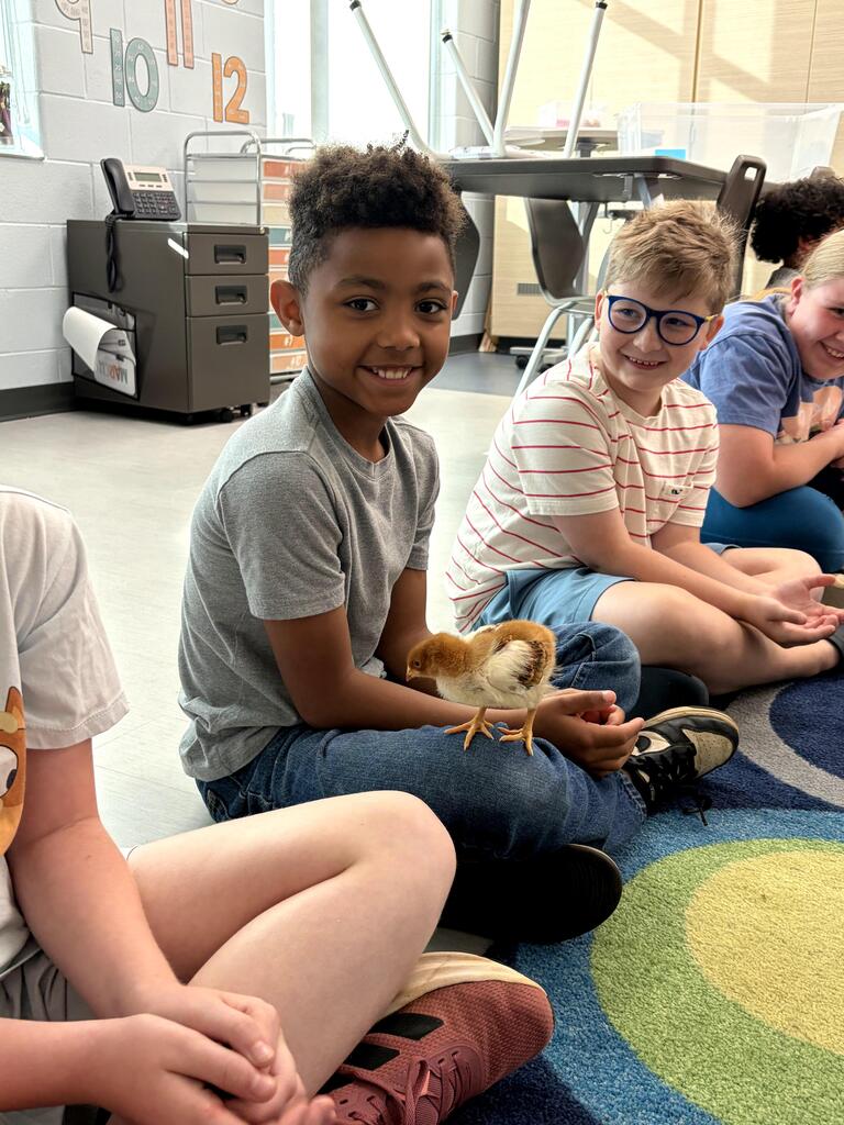 chick visits