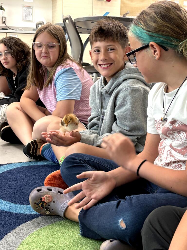 chick visits
