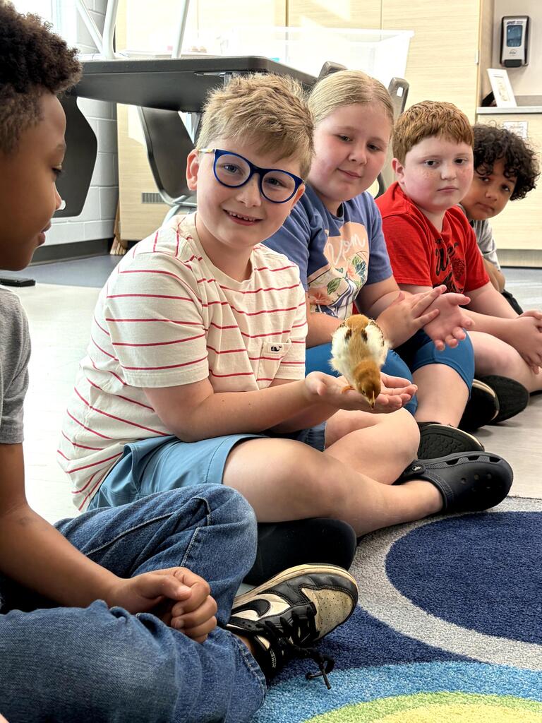 chick visits
