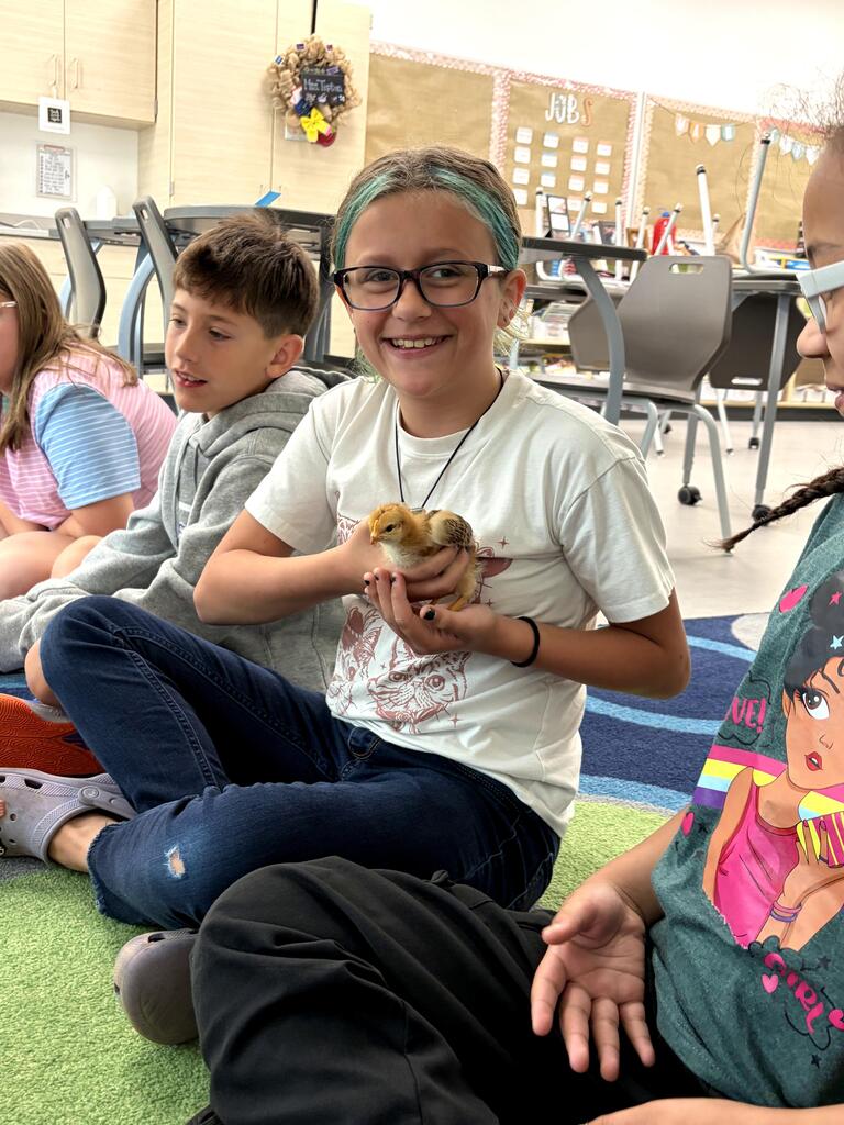 chick visits