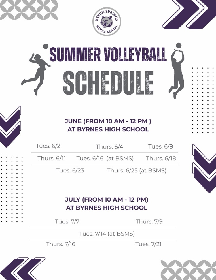 volleyball poster