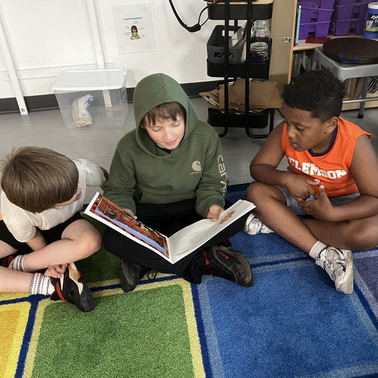 buddy reading