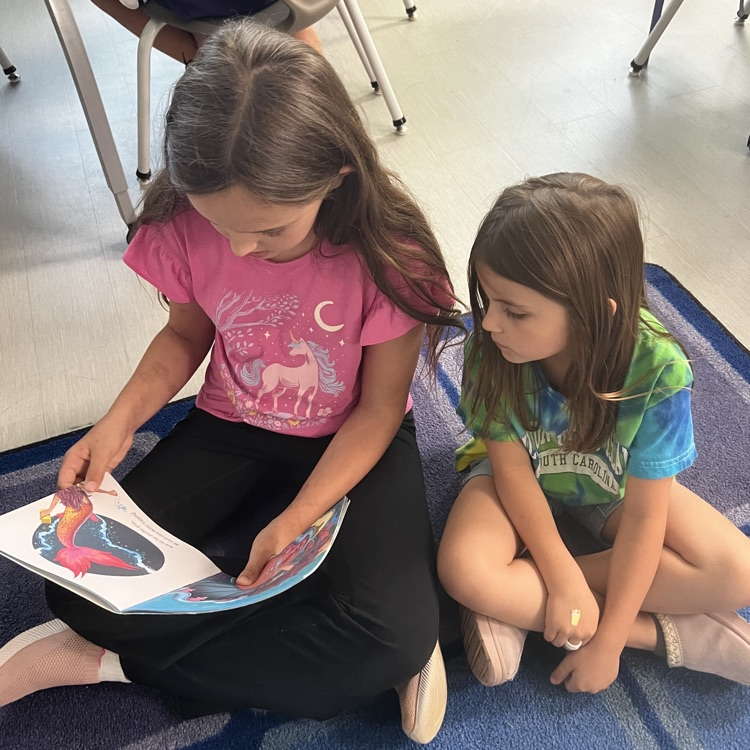 buddy reading