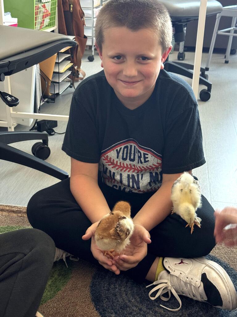 3rd grade chick visit
