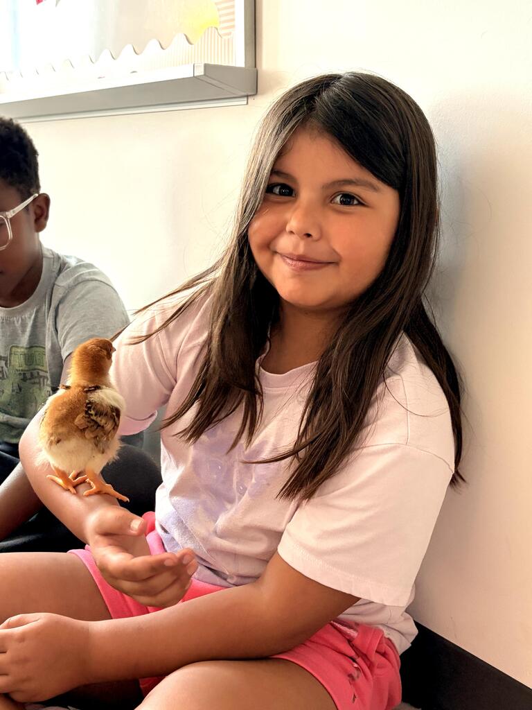 3rd grade chick visit