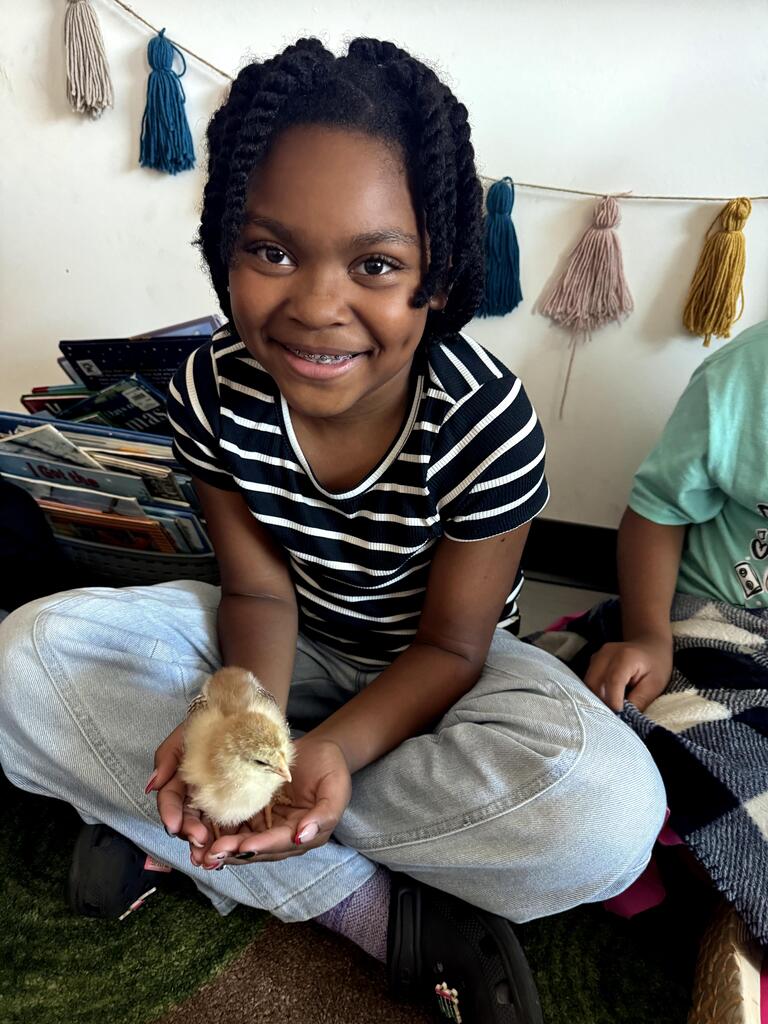3rd grade chick visit