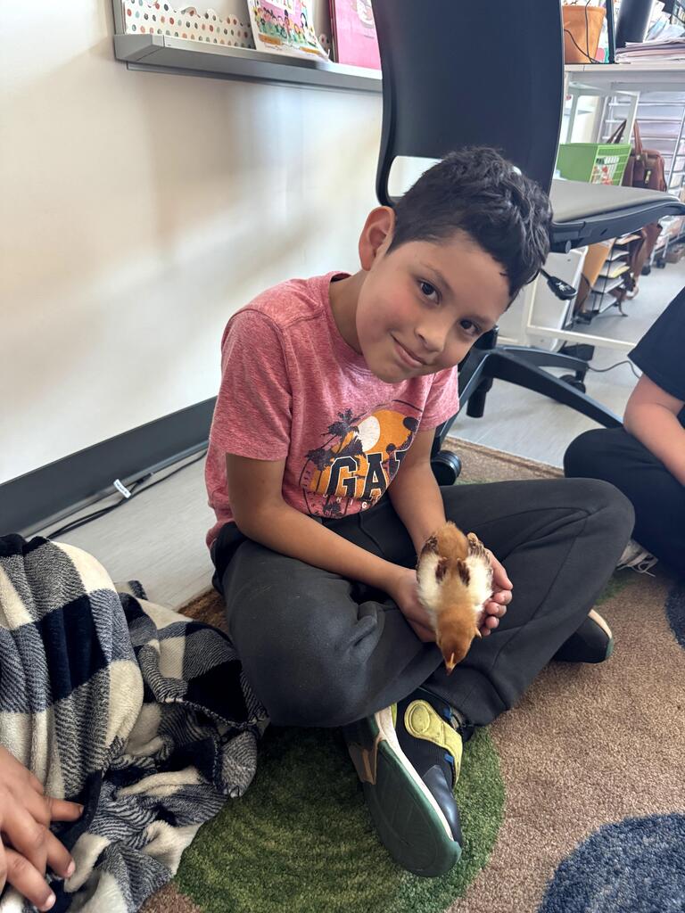3rd grade chick visit