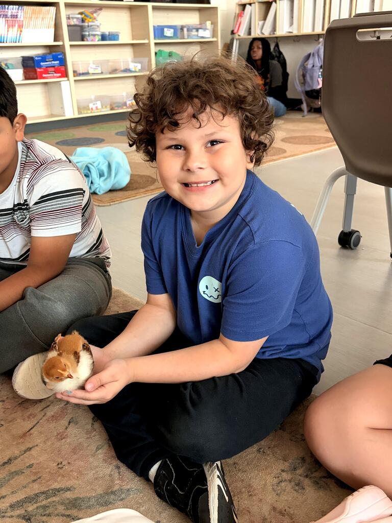 3rd grade chick visit