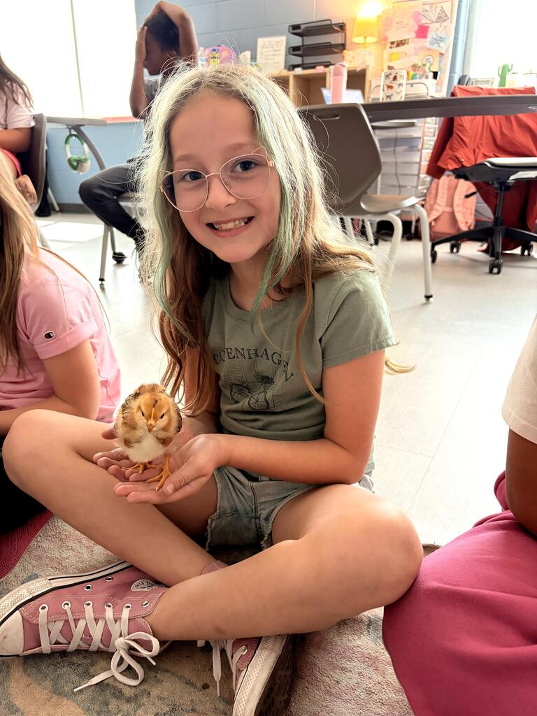 3rd grade chick visit