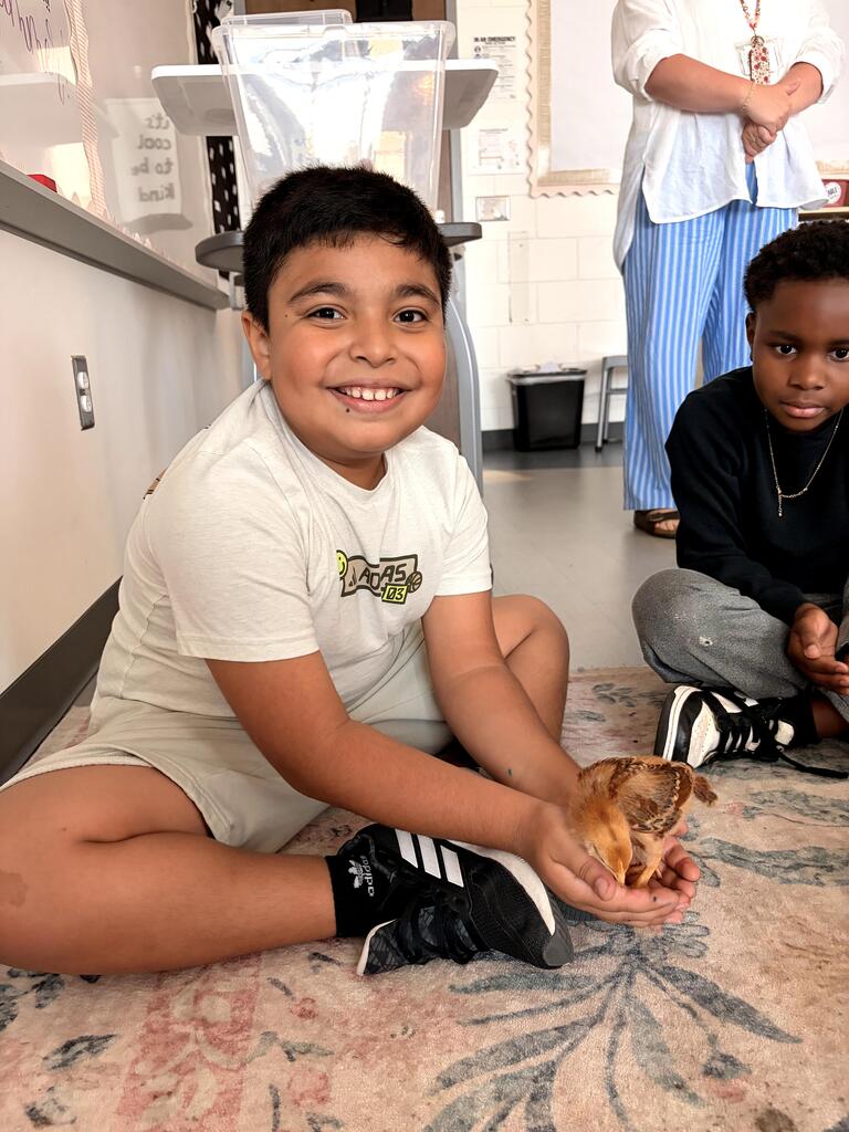 3rd grade chick visit