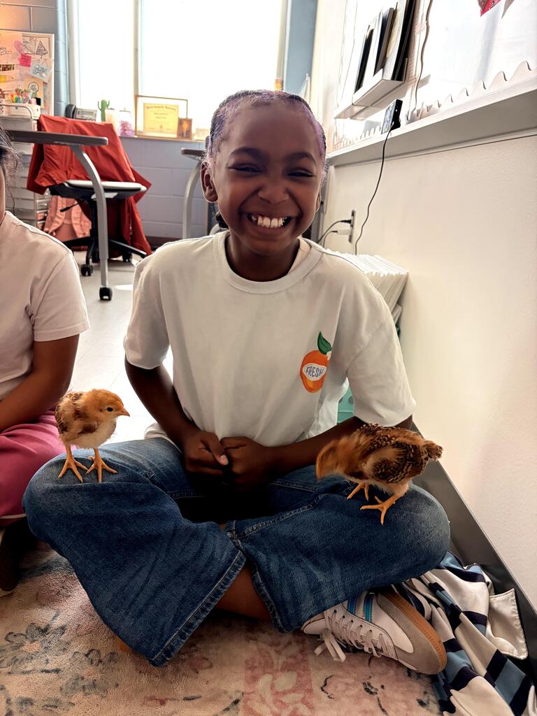 3rd grade chick visit
