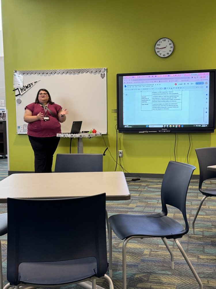 teachers in professional development 