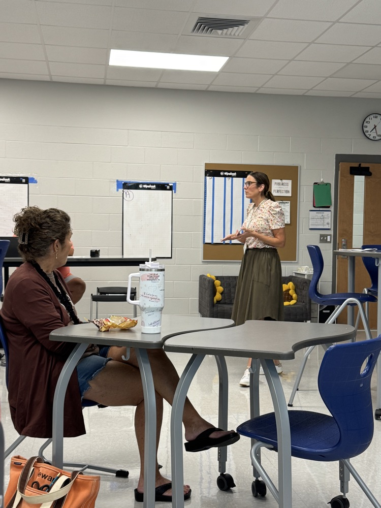 teachers in professional development 