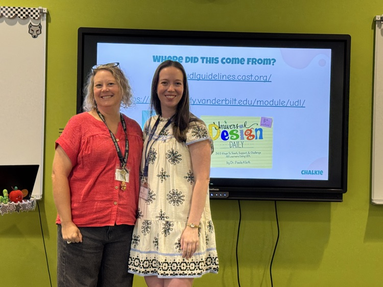 teachers in professional development 