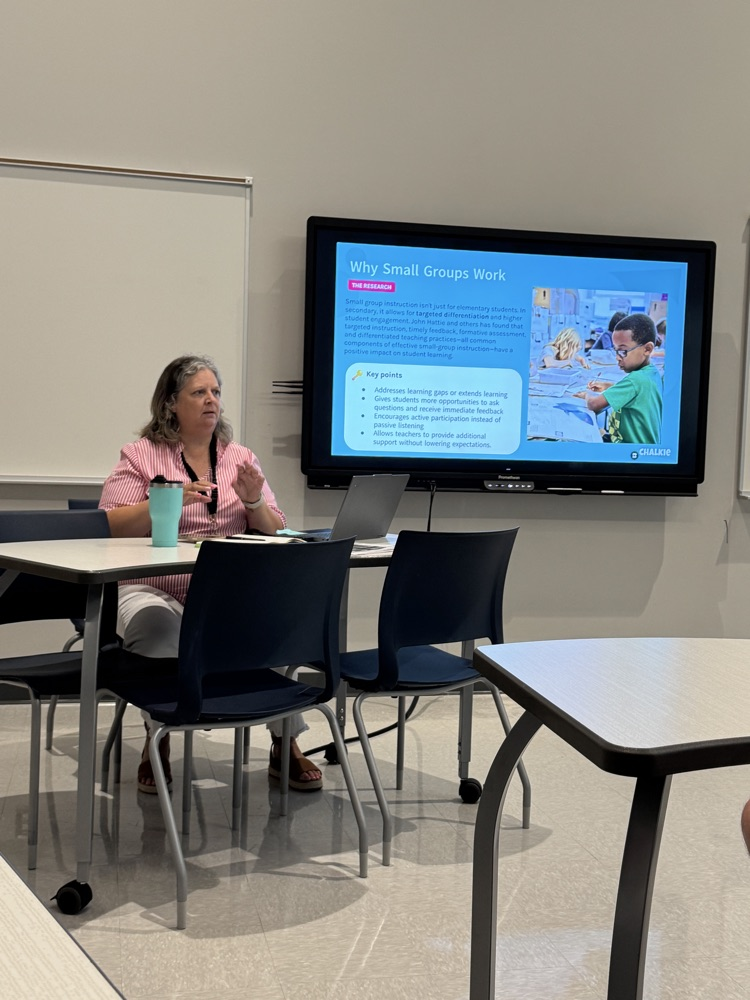 teachers in professional development 