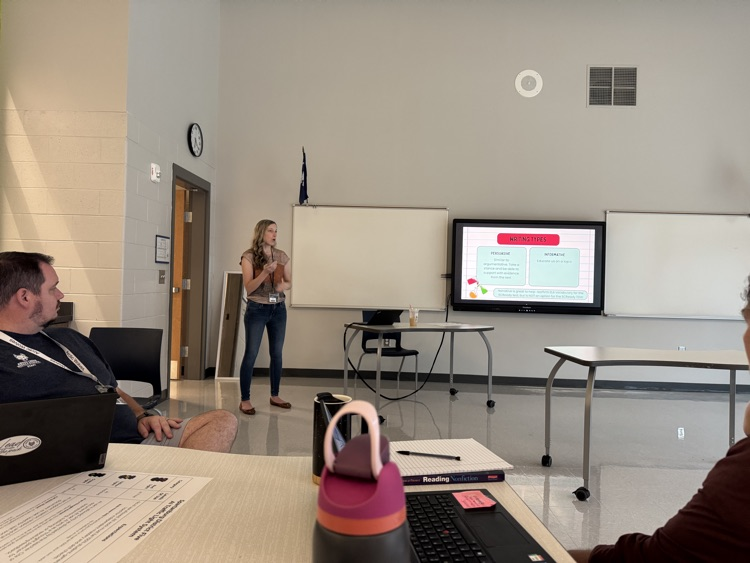 teachers in professional development 