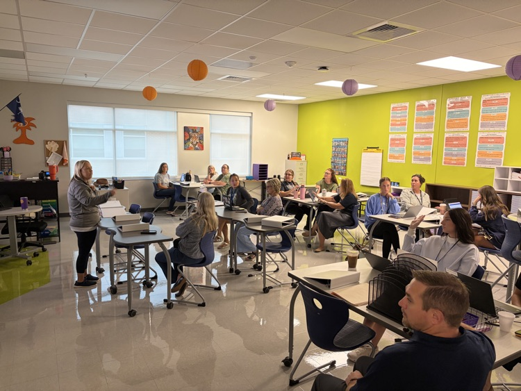 teachers in professional development 
