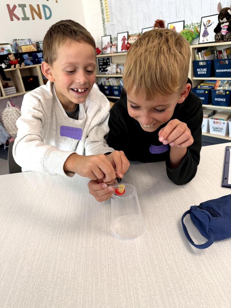 students exploring