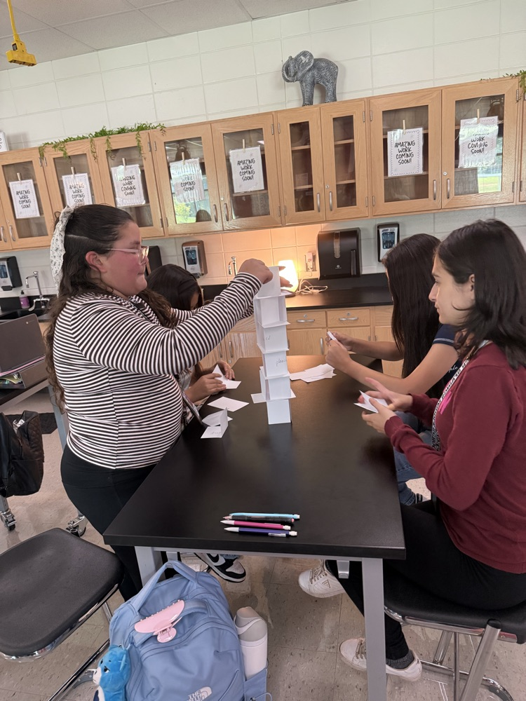 students building a tower
