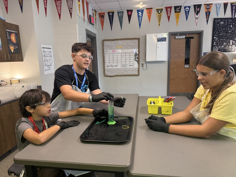 kids in science class 
