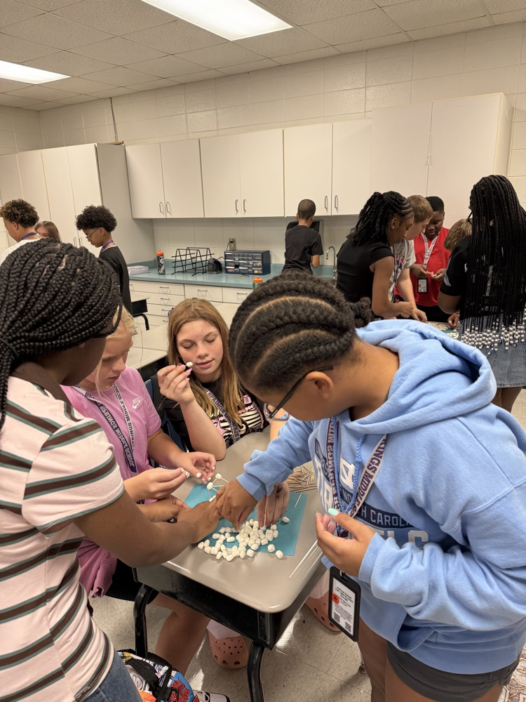 students making a tower