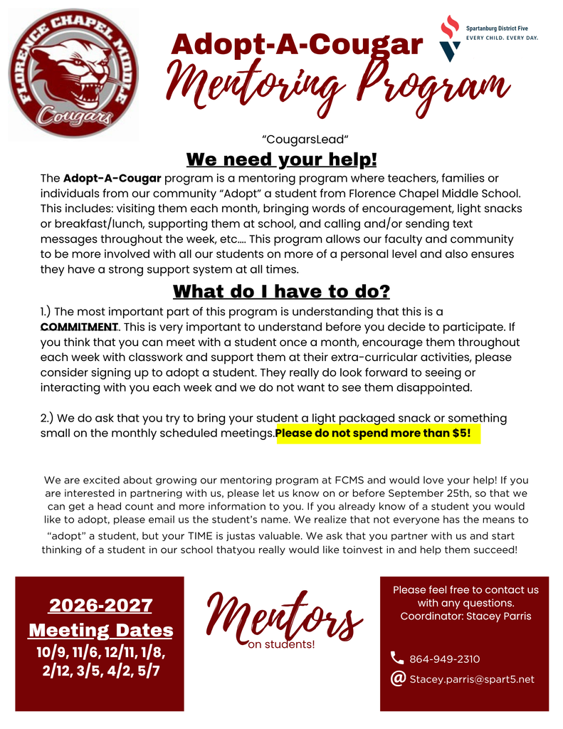 mentor program flyer