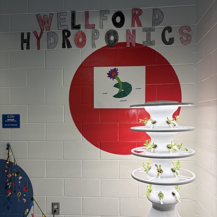 hydroponics garden 