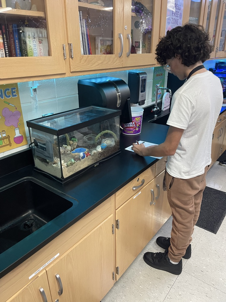 student working 