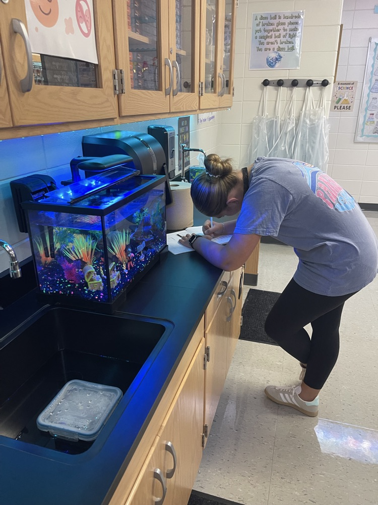 student working 