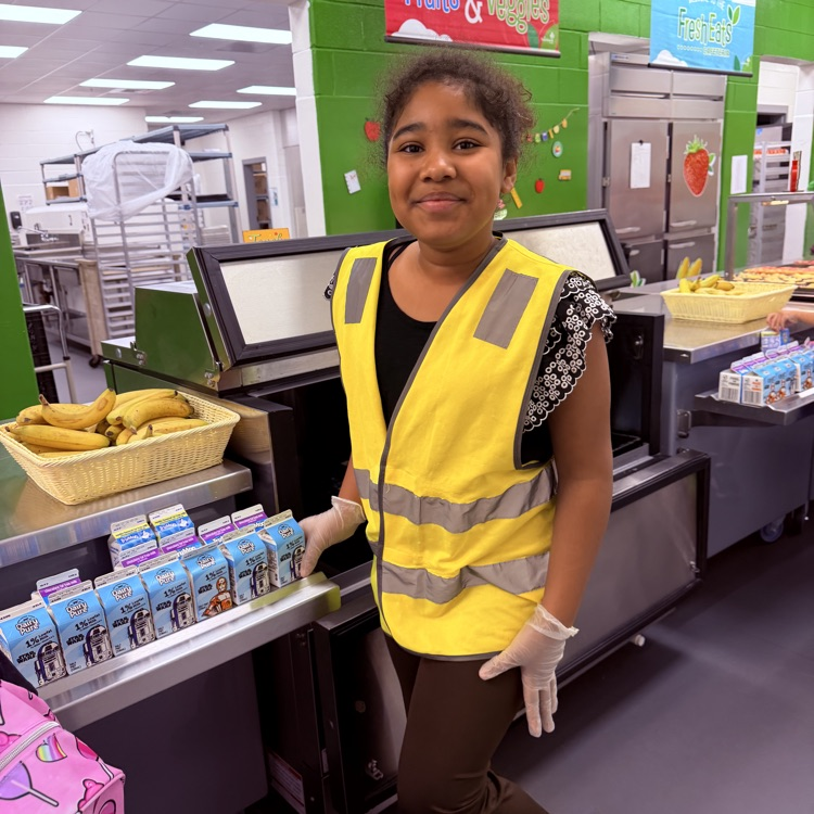 paw patrol 