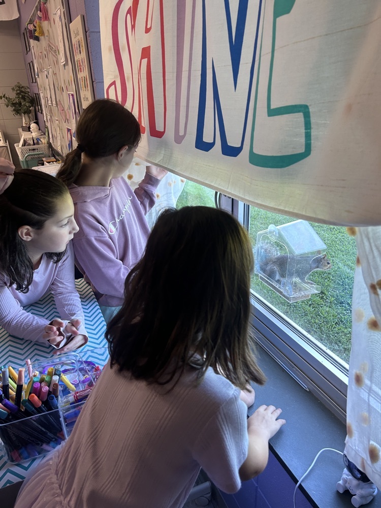 students watching squirrel 