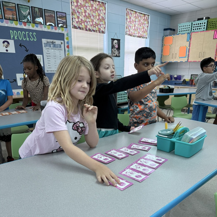 picture of students doing STEM activities