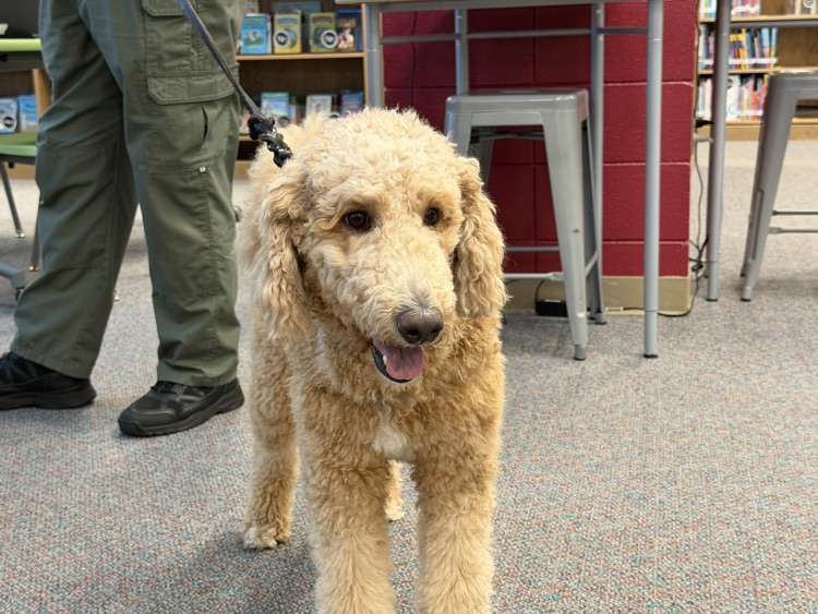 therapy K9 and students 