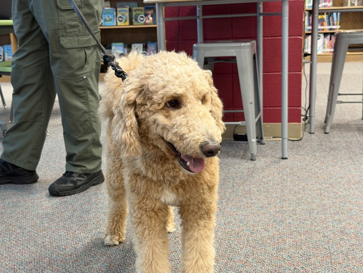 students and therapy dog