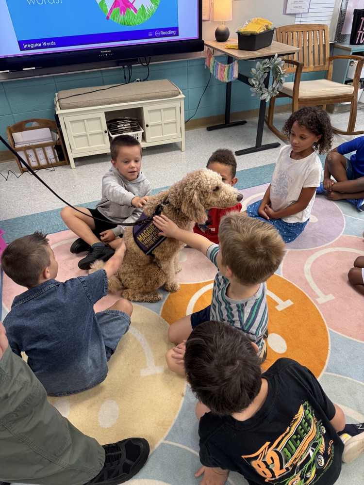 students and therapy dog