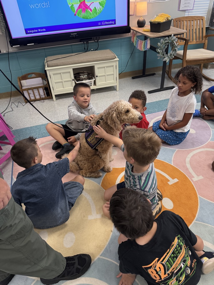 students and therapy dog