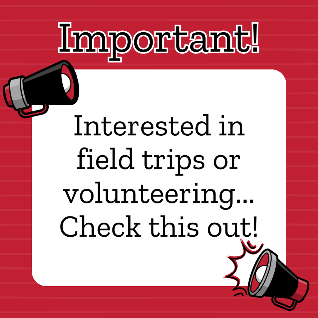 volunteer form
