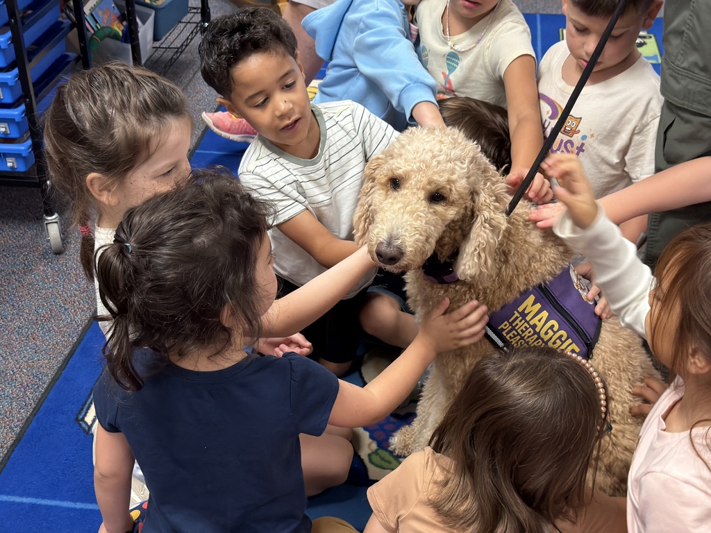 therapy dog with students