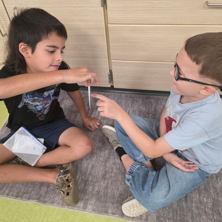 sight word practice