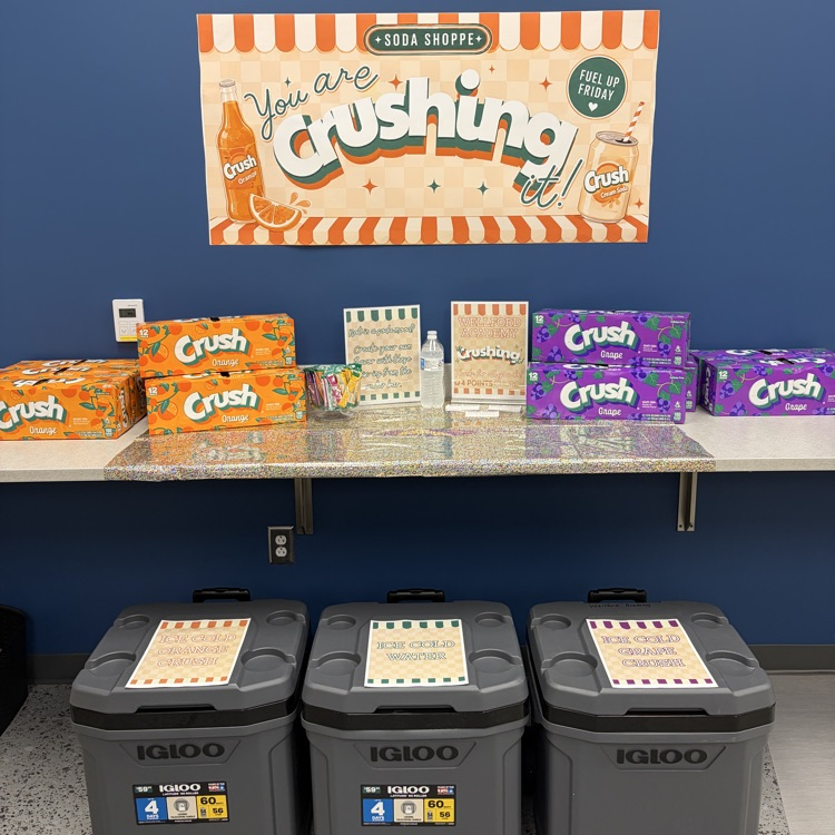 crush staff treat
