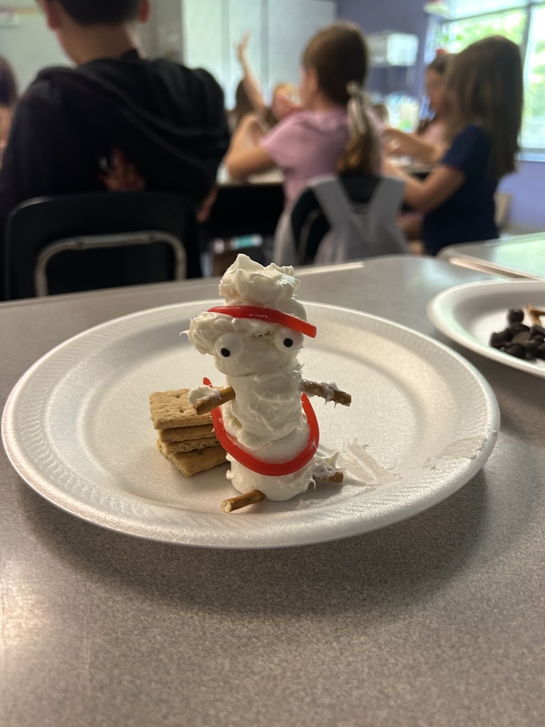 After reading Hugo Cabaret, Mrs. Dunlap's classes created Automations!