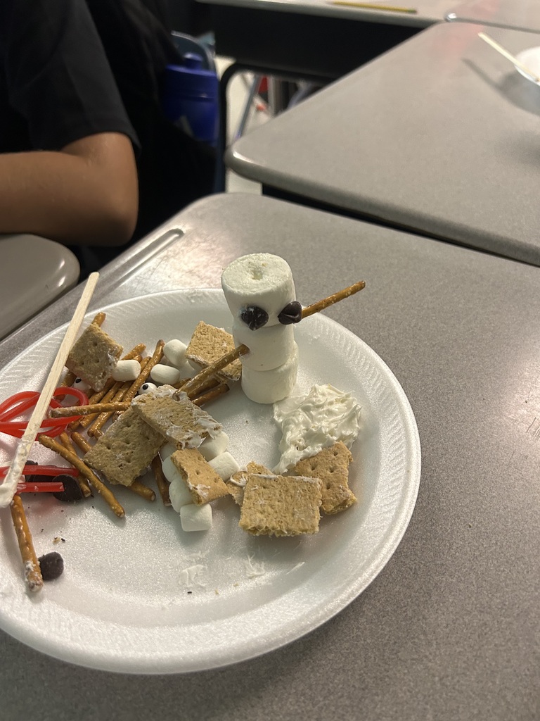 After reading Hugo Cabaret, Mrs. Dunlap's classes created Automations!