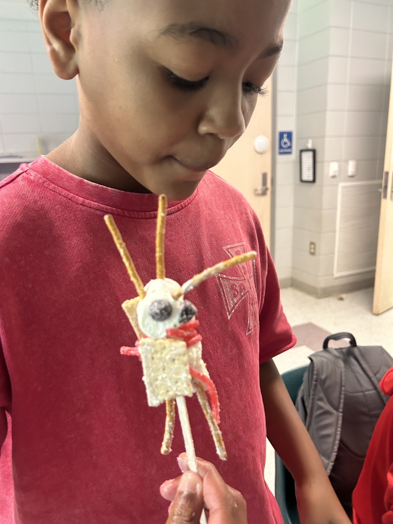 After reading Hugo Cabaret, Mrs. Dunlap's classes created Automations!
