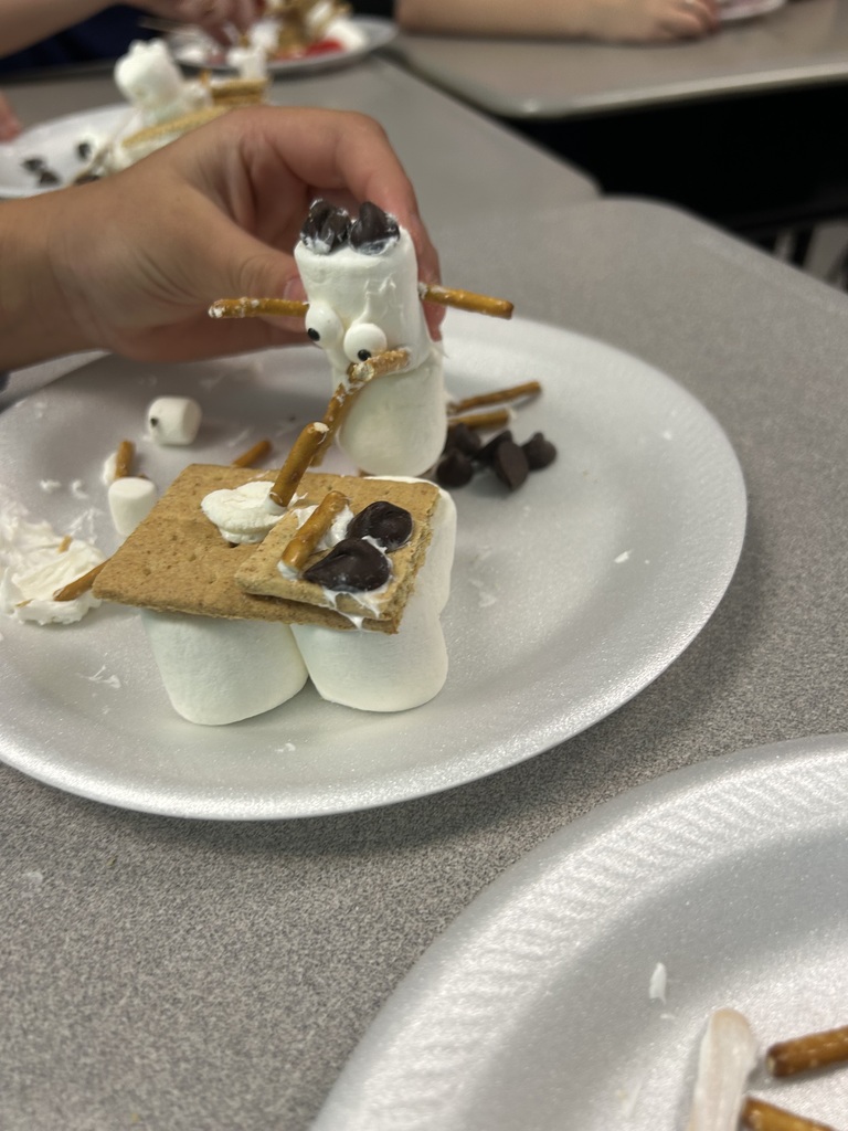 After reading Hugo Cabaret, Mrs. Dunlap's classes created Automations!