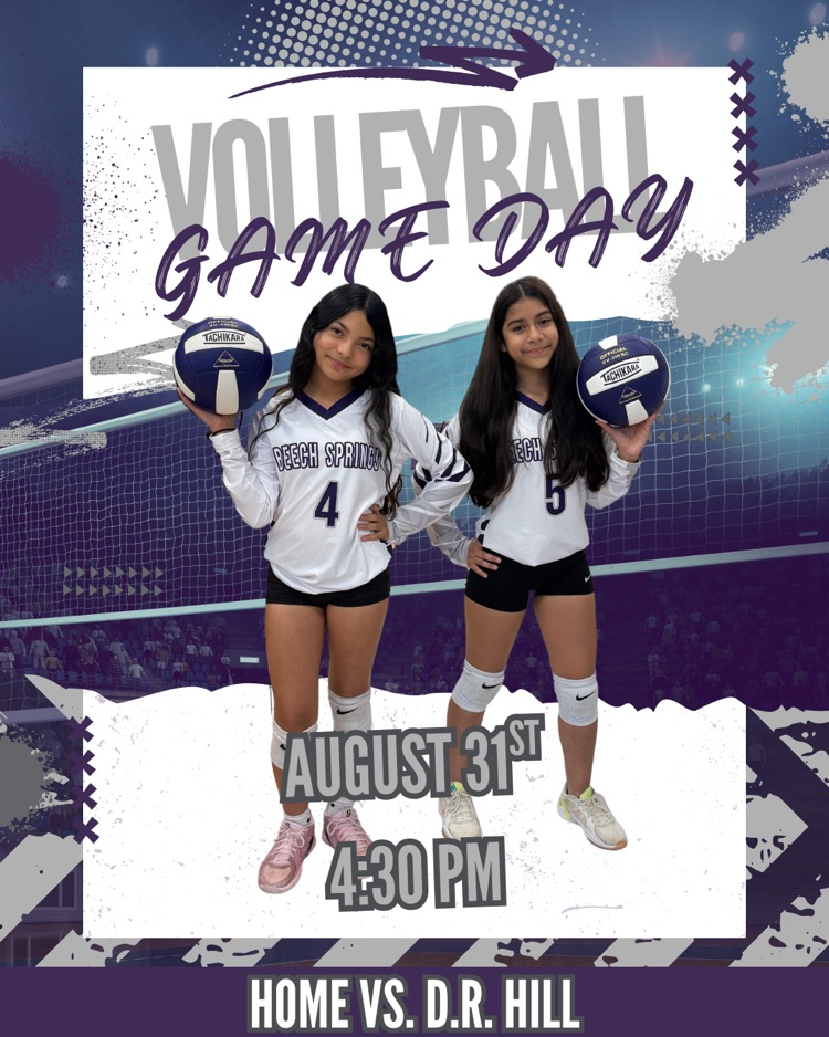 volleyball poster
