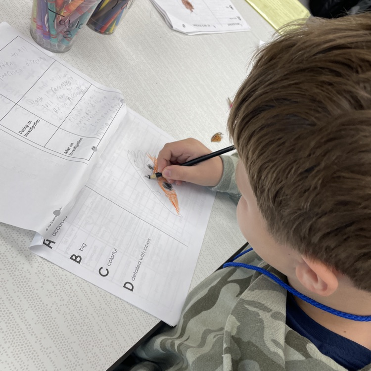 science observations